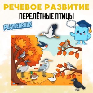 "Перелётные птицы" - речевое развитие